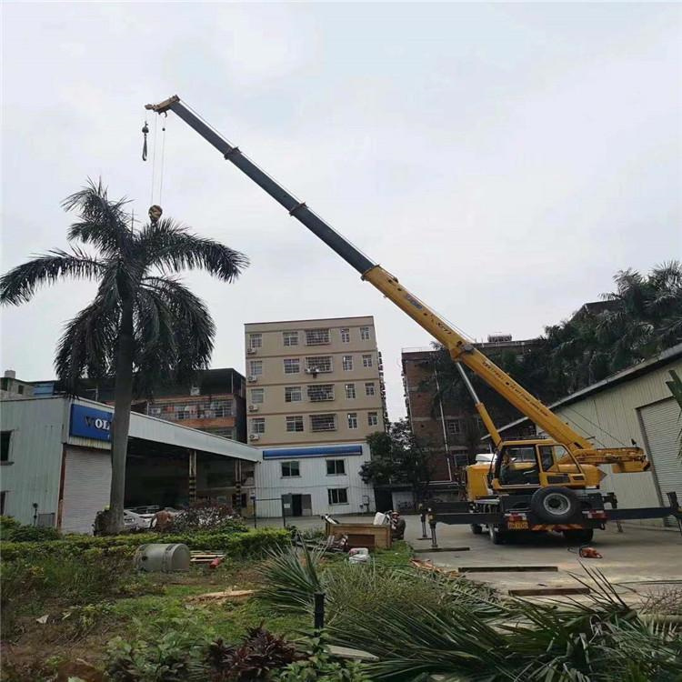 舞钢汽车吊出租多少钱？全面解析与市场行情